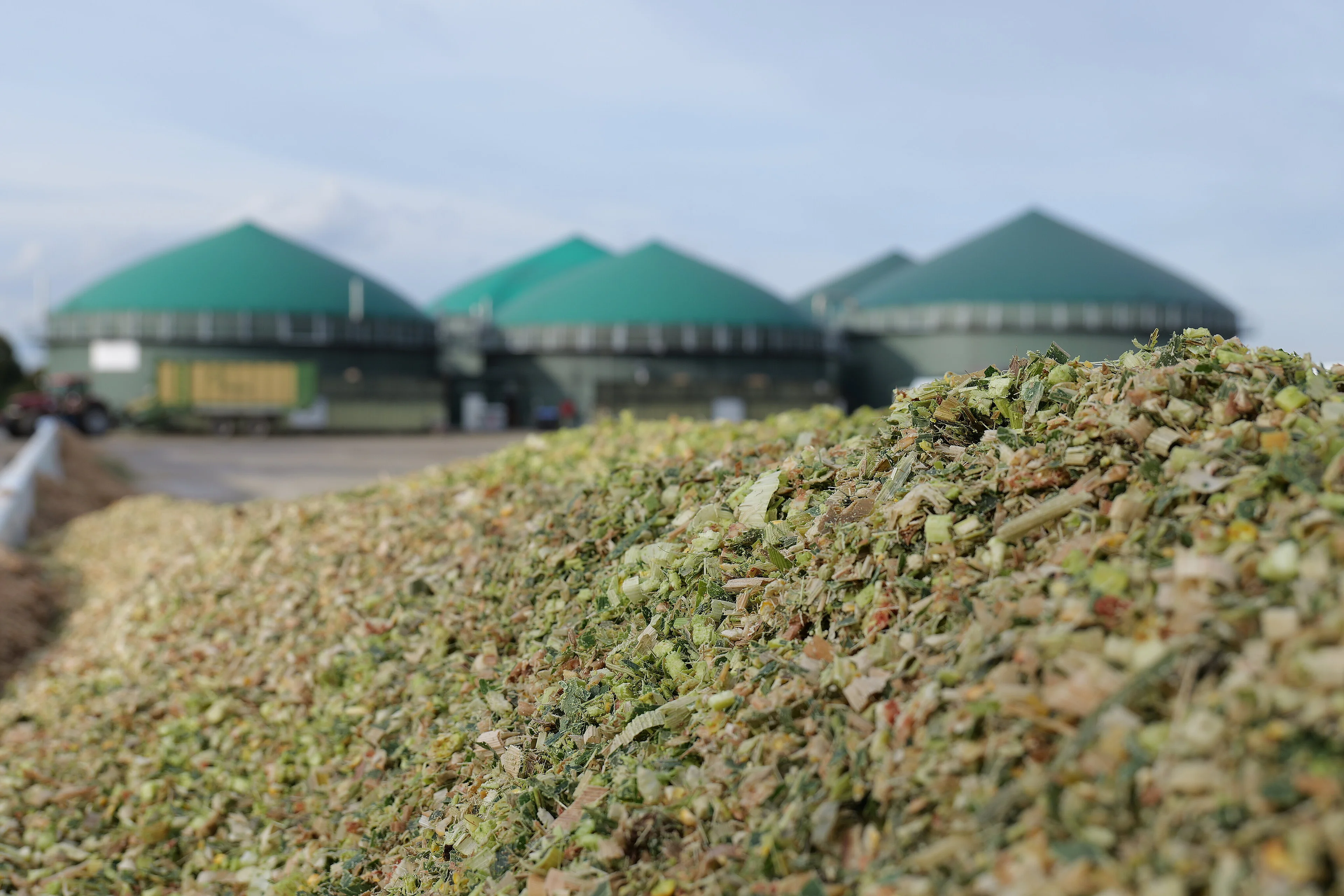 alternativer Bildtext - SilageDie Basis für Energie, Ertrag